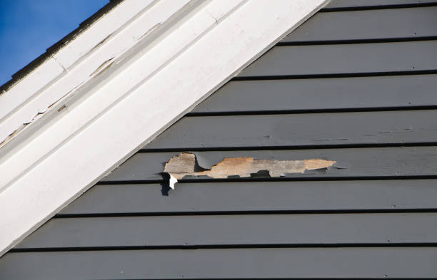 Best Shed Removal  in Hartford City, IN